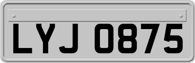 LYJ0875