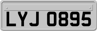 LYJ0895