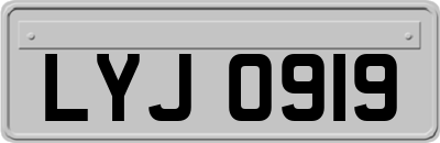 LYJ0919