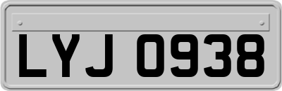 LYJ0938