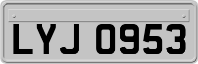 LYJ0953