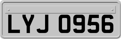 LYJ0956