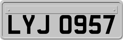 LYJ0957