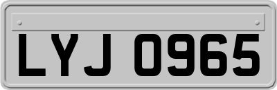LYJ0965