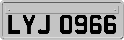LYJ0966