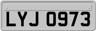 LYJ0973