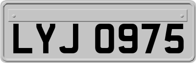 LYJ0975