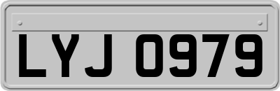 LYJ0979