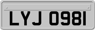LYJ0981