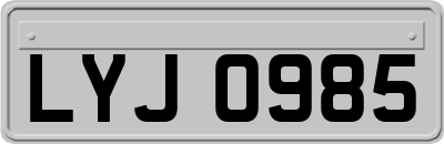 LYJ0985