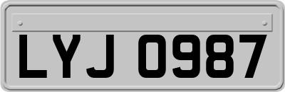 LYJ0987