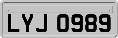 LYJ0989