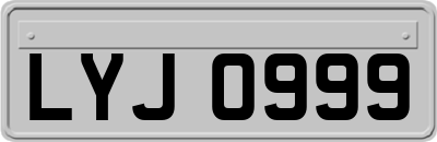 LYJ0999