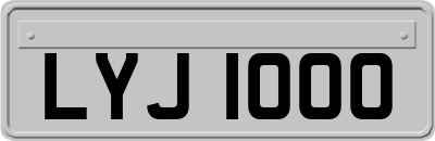 LYJ1000