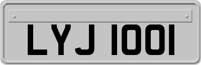 LYJ1001