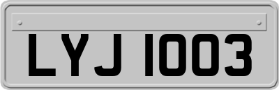 LYJ1003