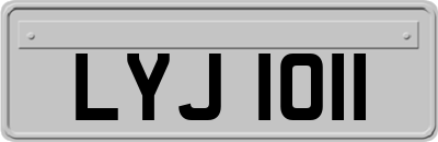 LYJ1011