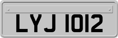 LYJ1012
