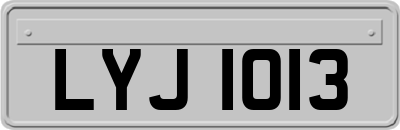LYJ1013