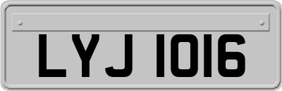 LYJ1016