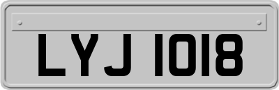 LYJ1018