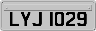 LYJ1029