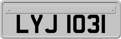 LYJ1031