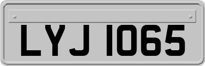 LYJ1065