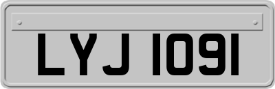 LYJ1091