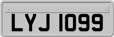 LYJ1099