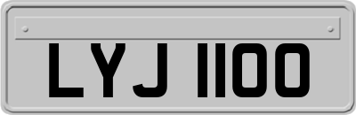 LYJ1100