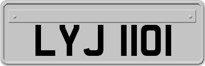 LYJ1101