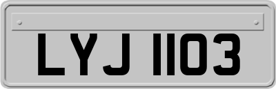 LYJ1103