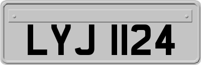 LYJ1124