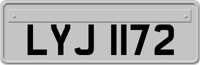 LYJ1172