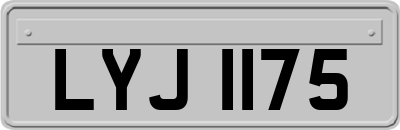 LYJ1175