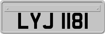 LYJ1181