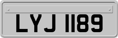 LYJ1189