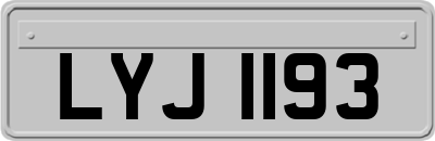 LYJ1193