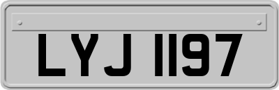 LYJ1197