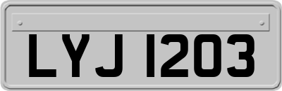 LYJ1203