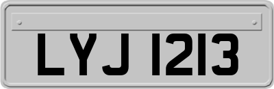 LYJ1213