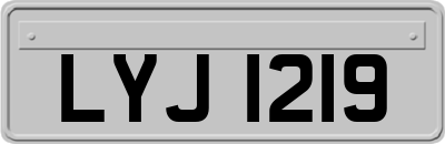 LYJ1219