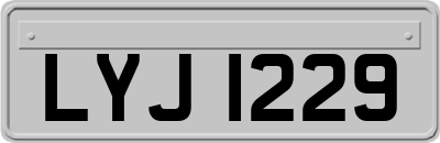 LYJ1229