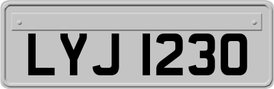 LYJ1230