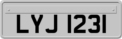 LYJ1231