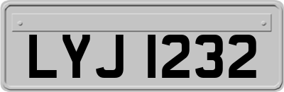 LYJ1232