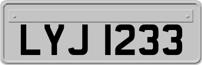 LYJ1233