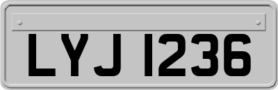 LYJ1236