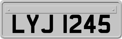 LYJ1245